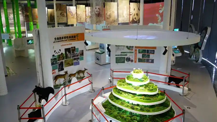 高山课堂：探秘大熊猫国家公园的自然之美