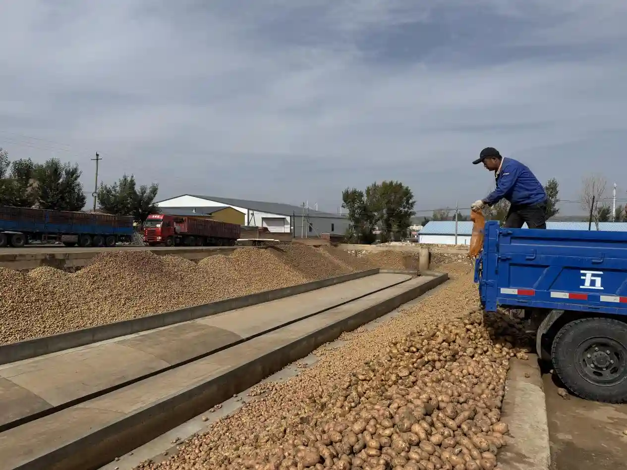 涅槃重生!内蒙古农商银行的改革突围之路