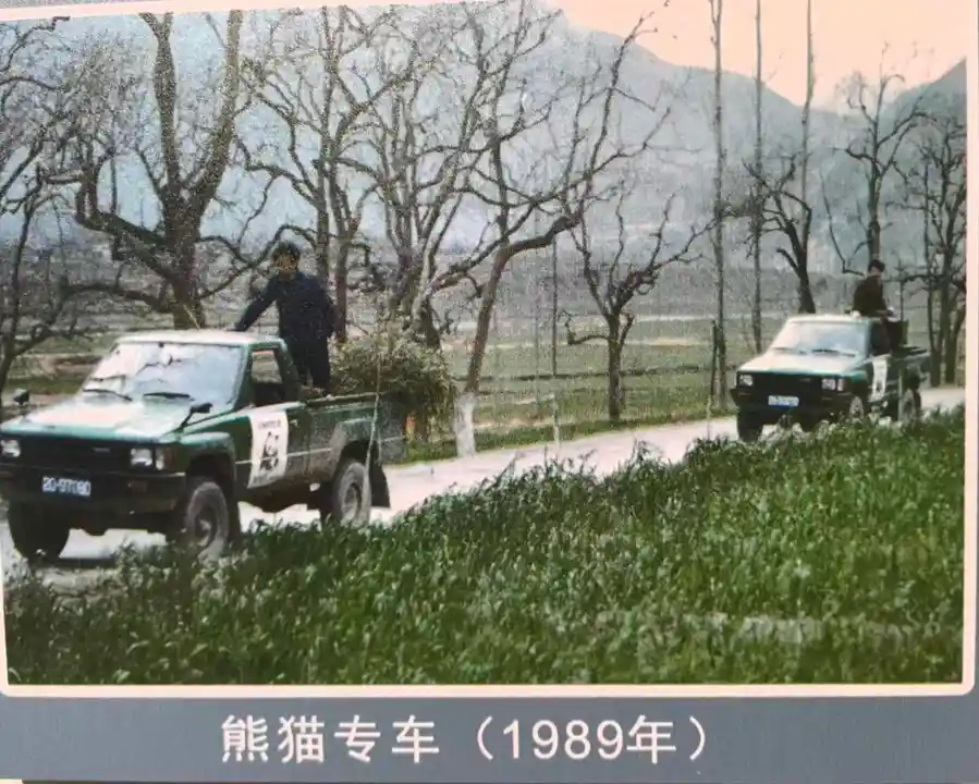 探秘大熊猫国家公园:揭秘野外救助背后的暖心故事