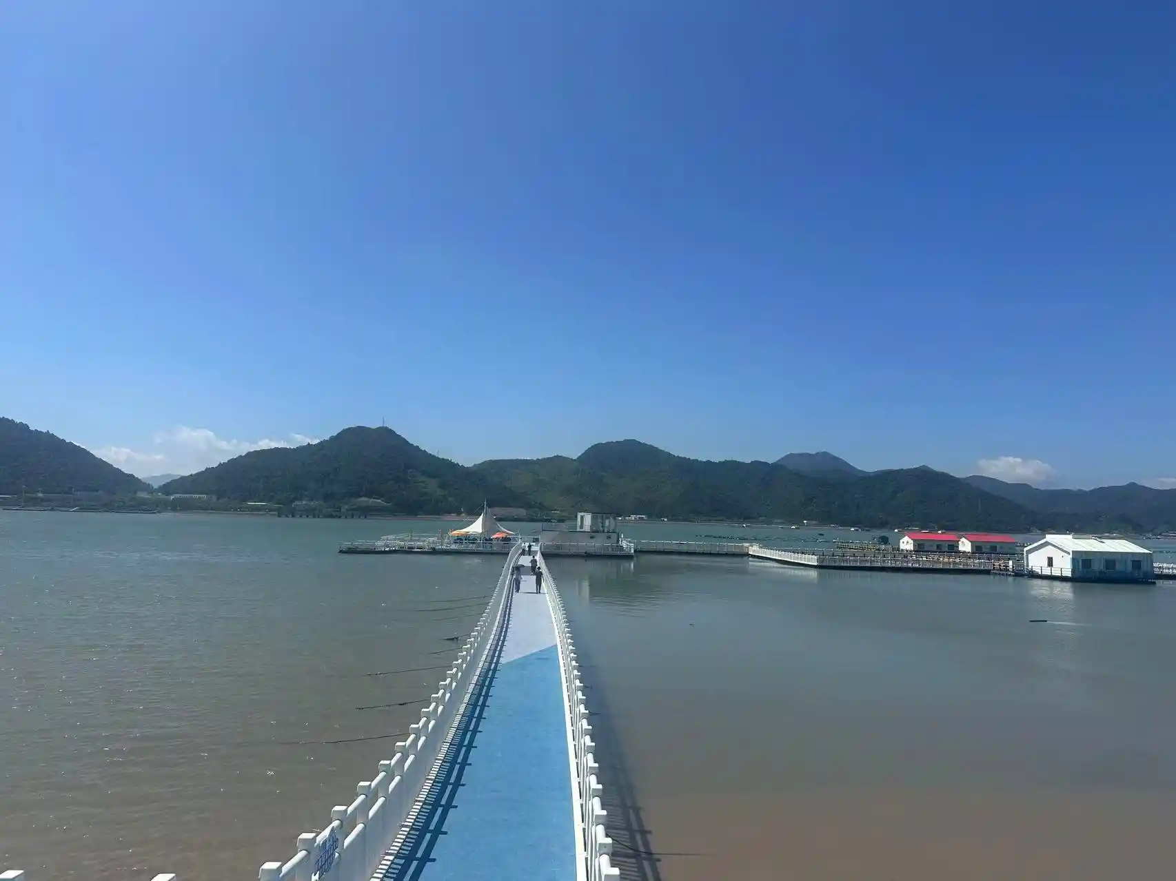 数启蓝海，企动未来——浙江海洋经济新赛道破局记