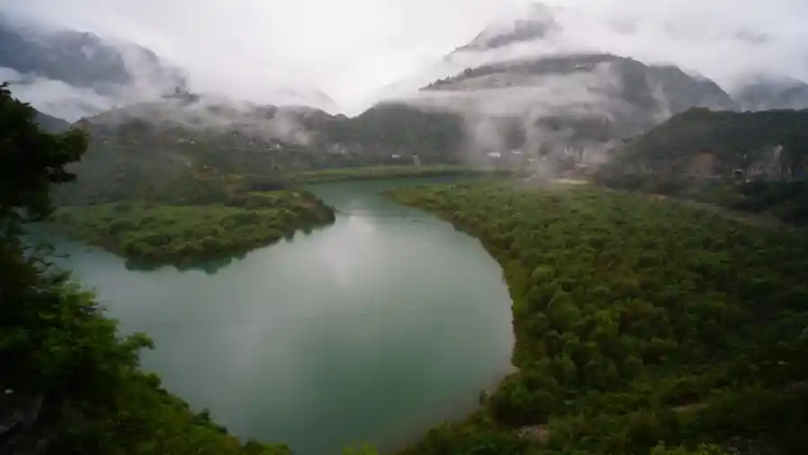 刘万年揭秘大熊猫国家公园:守护,从不打扰开始