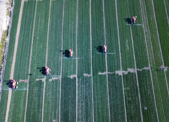 十五五农业新蓝图：筑牢粮食安全底线，科技赋能未来田野