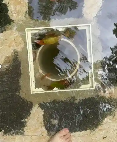 6岁童陷‘吃人’水池，水乐园悲剧引深思